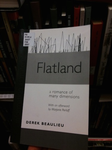 I found Flatland!