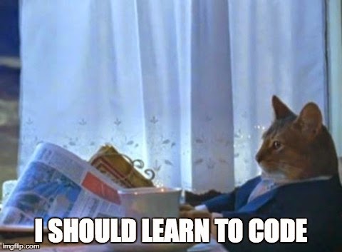 Please don't learn to code