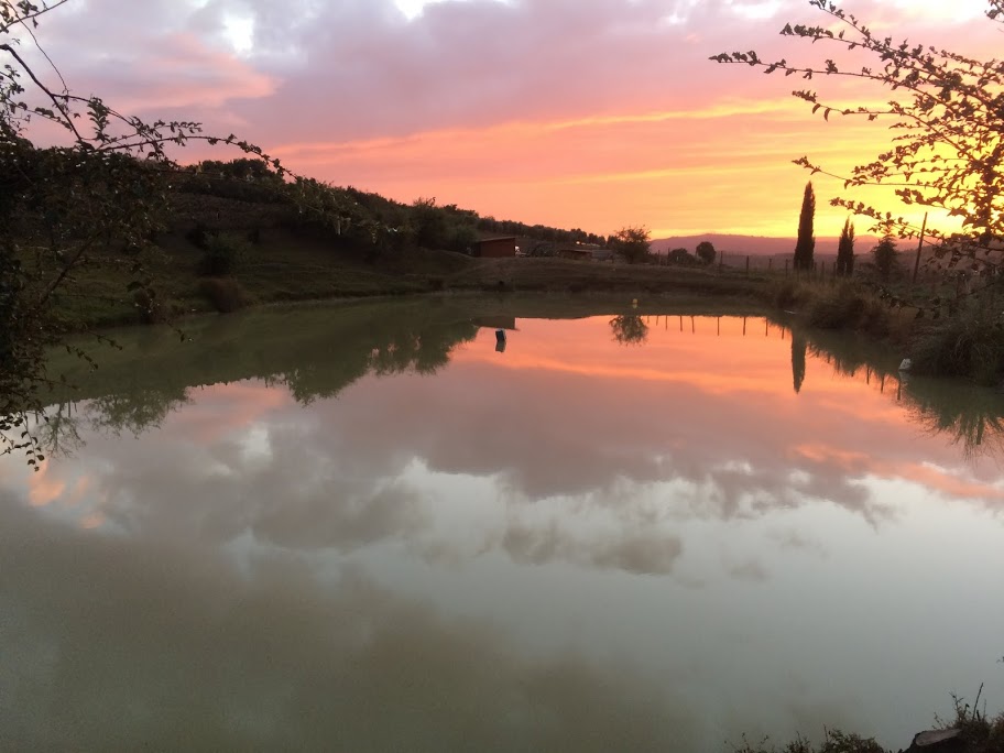 Agriturismo