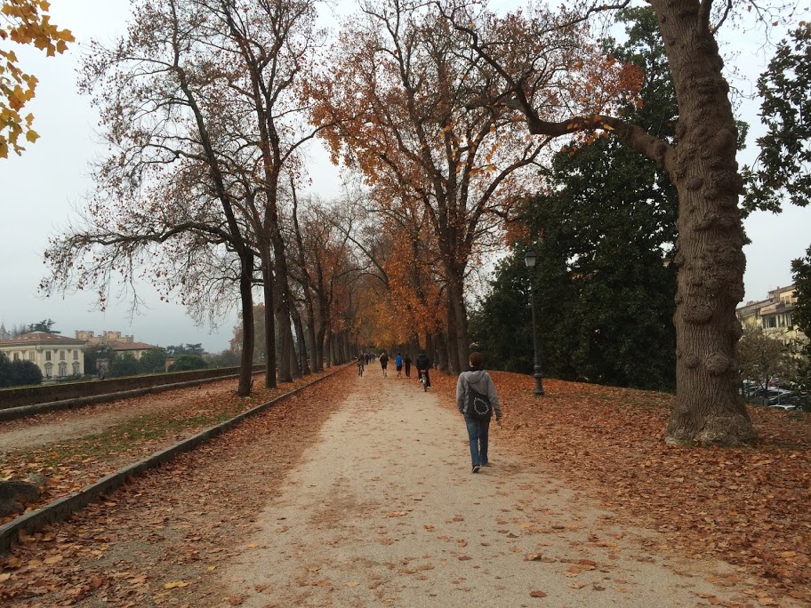 Lucca