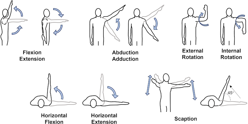 The various movements you can do with the shoulder. Image source: PeerJ.