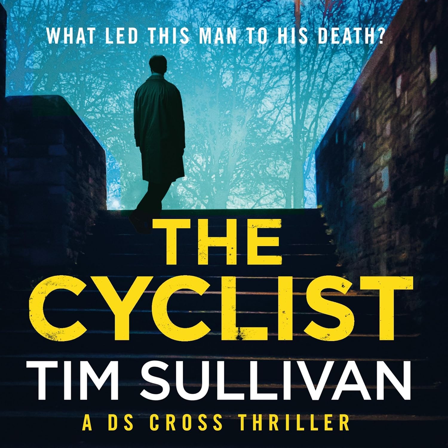 'The Cyclist' by Tim Sullivan